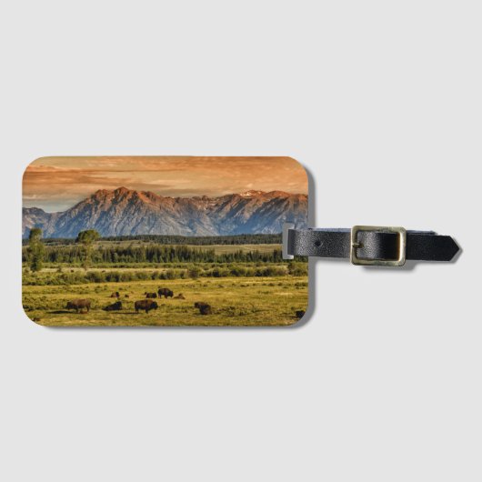 Bison bij Sunrise Bagagelabel (Voorkant (horizontaal))
