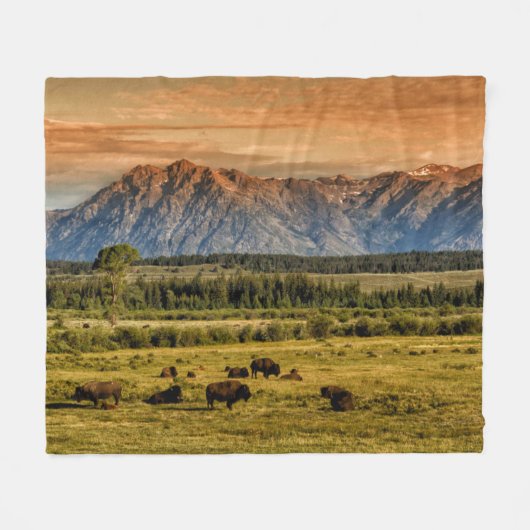Bison bij Sunrise Fleece Deken (Voorkant (Horizontaal))
