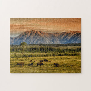 Bison bij Sunrise Legpuzzel