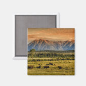 Bison bij Sunrise Magneet (Voorkant / Achterkant)