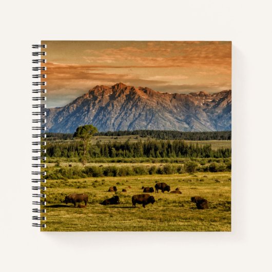 Bison bij Sunrise Notitieboek (Voorkant)