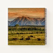 Bison bij Sunrise Notitieboek (Achterkant)