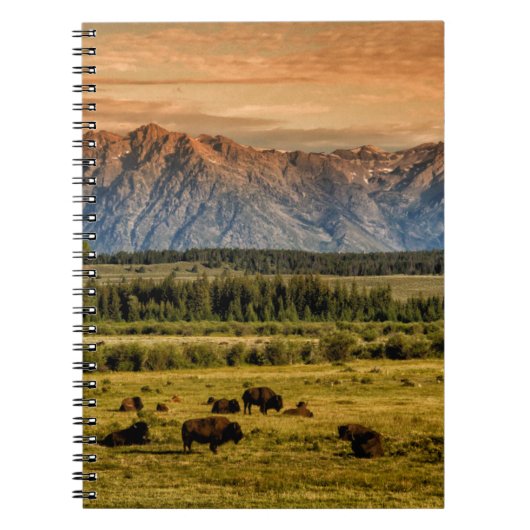 Bison bij Sunrise Notitieboek (Voorkant)