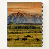 Bison bij Sunrise Notitieboek (Achterkant)