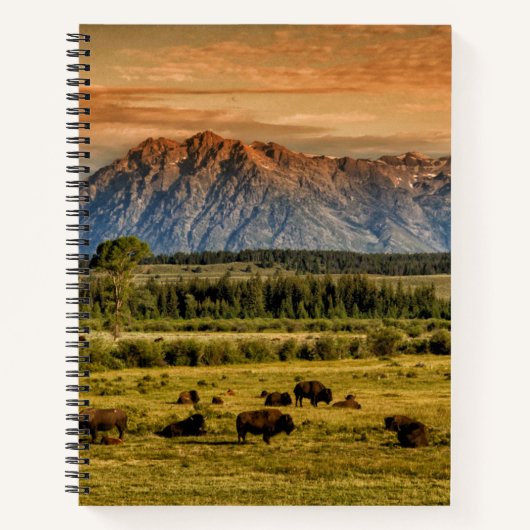 Bison bij Sunrise Notitieboek (Voorkant)
