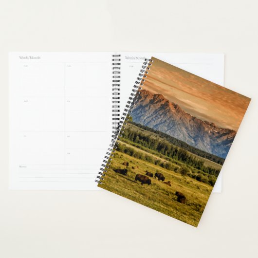 Bison bij Sunrise Planner (Display)
