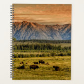 Bison bij Sunrise Planner (Voorkant)