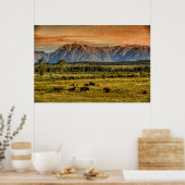 Bison bij Sunrise Poster (Keuken)