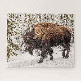 Bison (Bison bison) - Buffalo - sneeuw - 520 stuk Legpuzzel