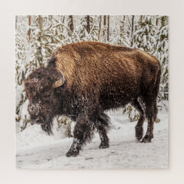Bison (Bison bison) - Buffalo - sneeuw - 676 stuk Legpuzzel