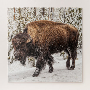 Bison (Bison bison) - Buffalo - sneeuw - 676 stuk Legpuzzel