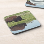 Bison (Bison Bison) op Grassy Meadow Onderzetter (Linkerzijde)