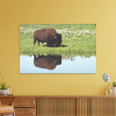 Bison (Bison Bison) op grijze weide Canvas Afdruk (Insitu (Woonkamer))