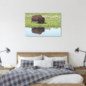 Bison (Bison Bison) op grijze weide Canvas Afdruk (Insitu (Slaapkamer))