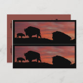 Bison-boekmarkeringen Briefkaart (Voorkant / Achterkant)