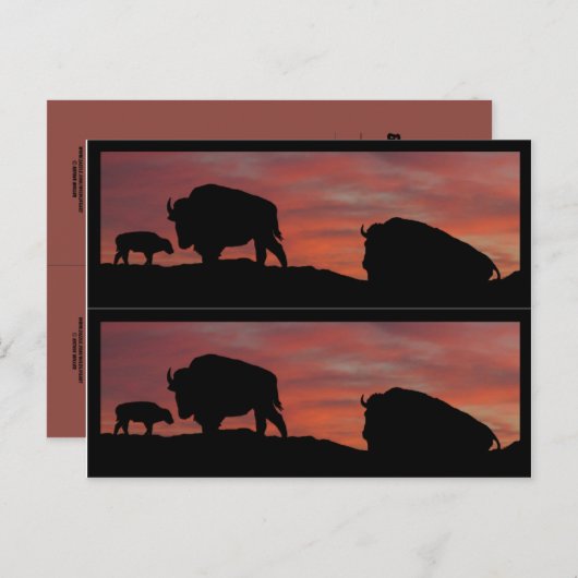 Bison-boekmarkeringen Briefkaart (Voorkant / Achterkant)