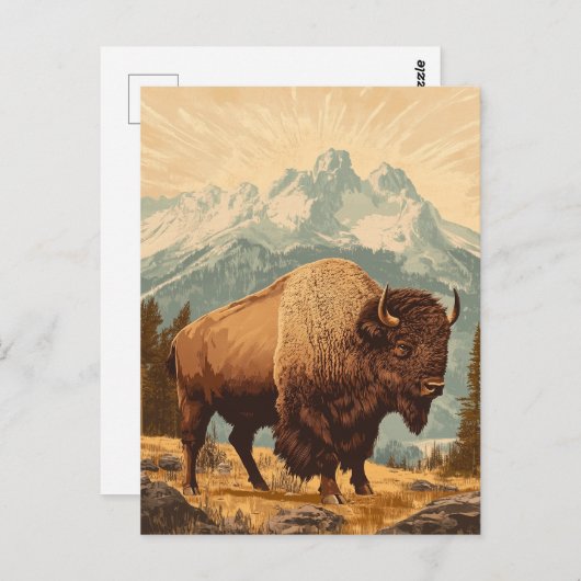 Bison  briefkaart (Voorkant / Achterkant)