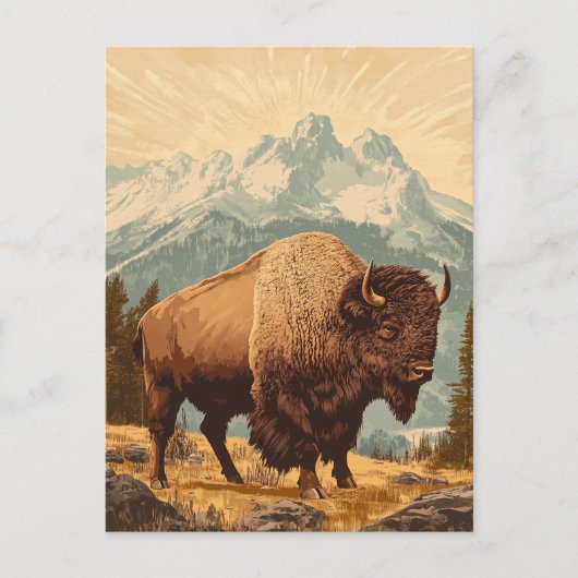 Bison  briefkaart (Voorkant)