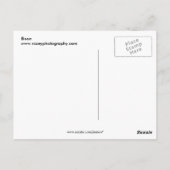 Bison Briefkaart (Achterkant)