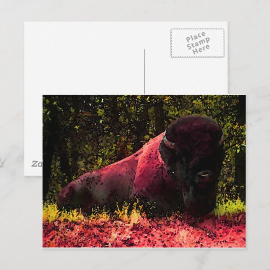 Bison Briefkaart (Voorkant / Achterkant)