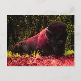 Bison Briefkaart
