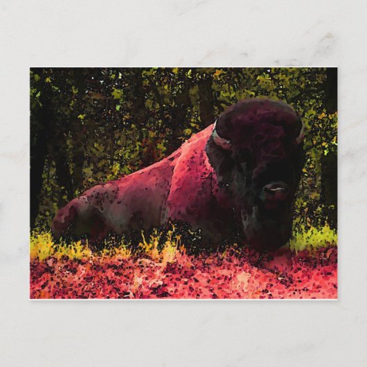 Bison Briefkaart (Voorkant)
