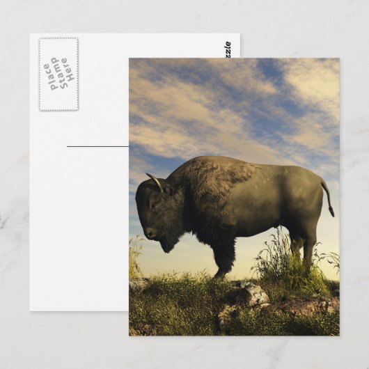 Bison Briefkaart (Voorkant / Achterkant)