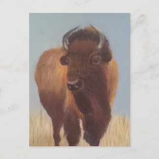 Bison Briefkaart
