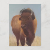 Bison Briefkaart (Voorkant)
