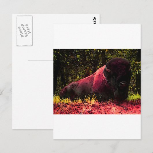 Bison Briefkaart (Voorkant / Achterkant)
