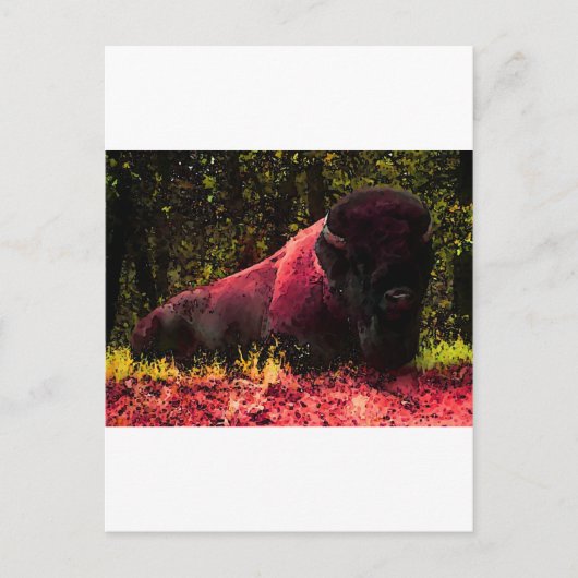Bison Briefkaart (Voorkant)