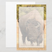 Bison Briefpapier (Voorkant / Achterkant)