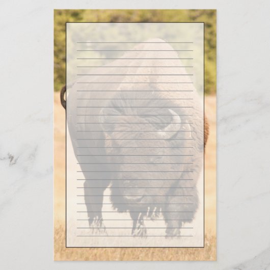 Bison Briefpapier (Voorkant)