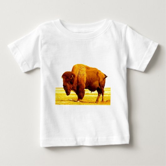 Bison/Buffalo (Voorkant)
