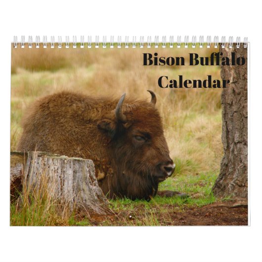 Bison Buffalo 2026 Kalender (Hoes)