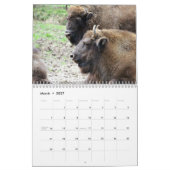 Bison Buffalo 2026 Kalender (Mar 2027)