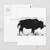 Bison - Buffalo Briefkaart (Voorkant / Achterkant)