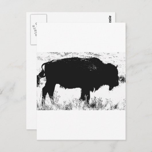 Bison - Buffalo Briefkaart (Voorkant / Achterkant)