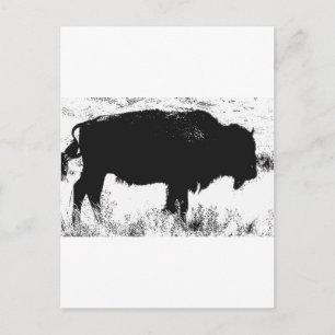 Bison - Buffalo Briefkaart