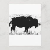 Bison - Buffalo Briefkaart (Voorkant)