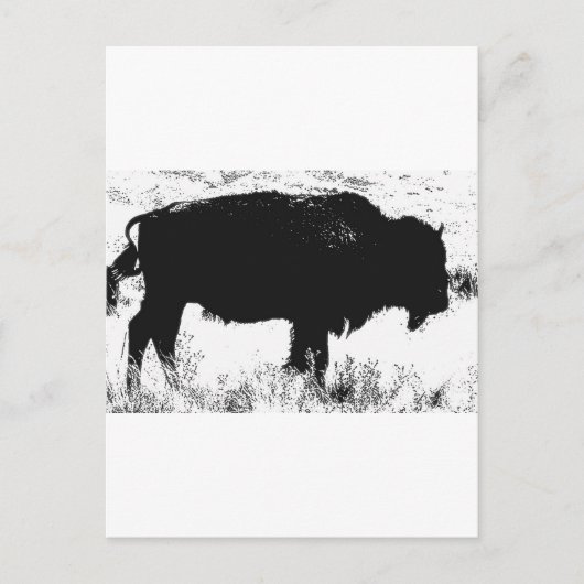Bison - Buffalo Briefkaart (Voorkant)