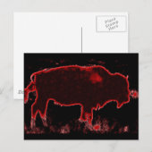 Bison/Buffalo Briefkaart (Voorkant / Achterkant)