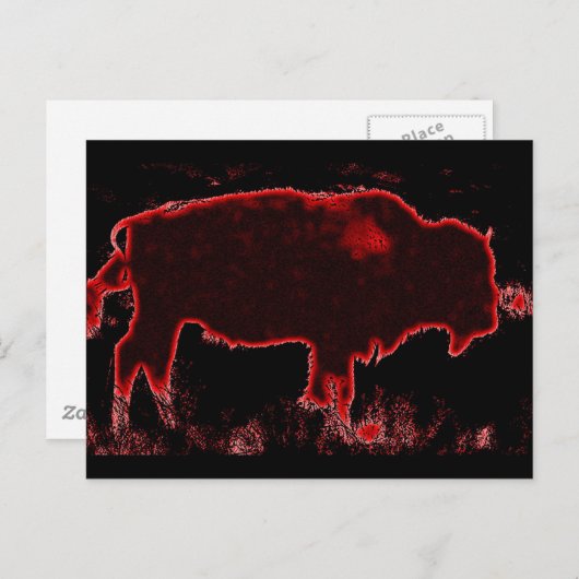Bison/Buffalo Briefkaart (Voorkant / Achterkant)