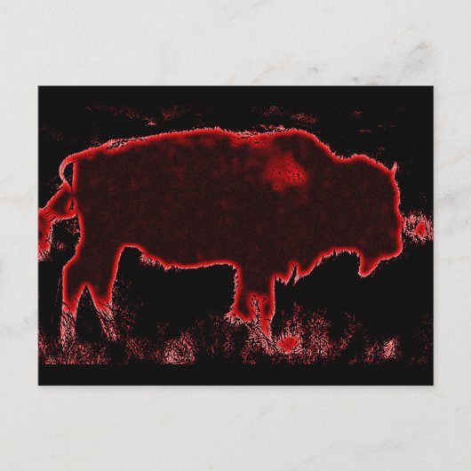 Bison/Buffalo Briefkaart (Voorkant)