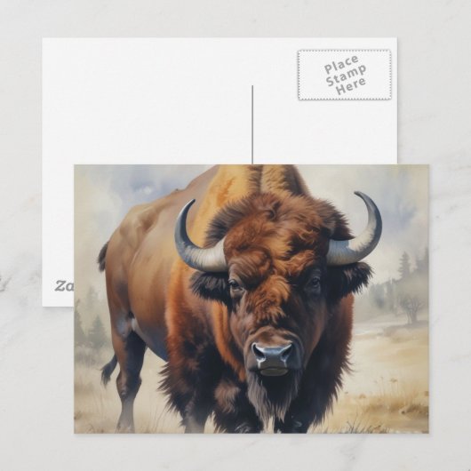 Bison/Buffalo Briefkaart (Voorkant / Achterkant)