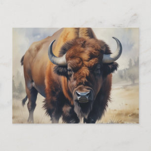 Bison/Buffalo Briefkaart