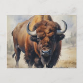 Bison/Buffalo Briefkaart (Voorkant)