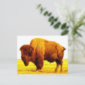 Bison/Buffalo Briefkaart (Staand voorkant)