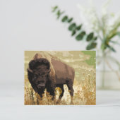 Bison/Buffalo Briefkaart (Staand voorkant)