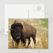 Bison/Buffalo Briefkaart (Voorkant / Achterkant)